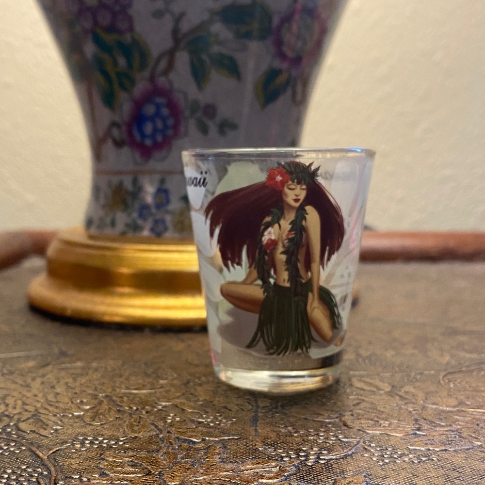 NWT Hawaii Shot Glass with Hula Dancer